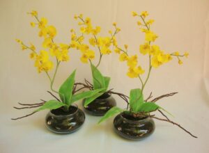 Orquídea Chuva de Ouro Como Cuidar em 2022 Tutorial